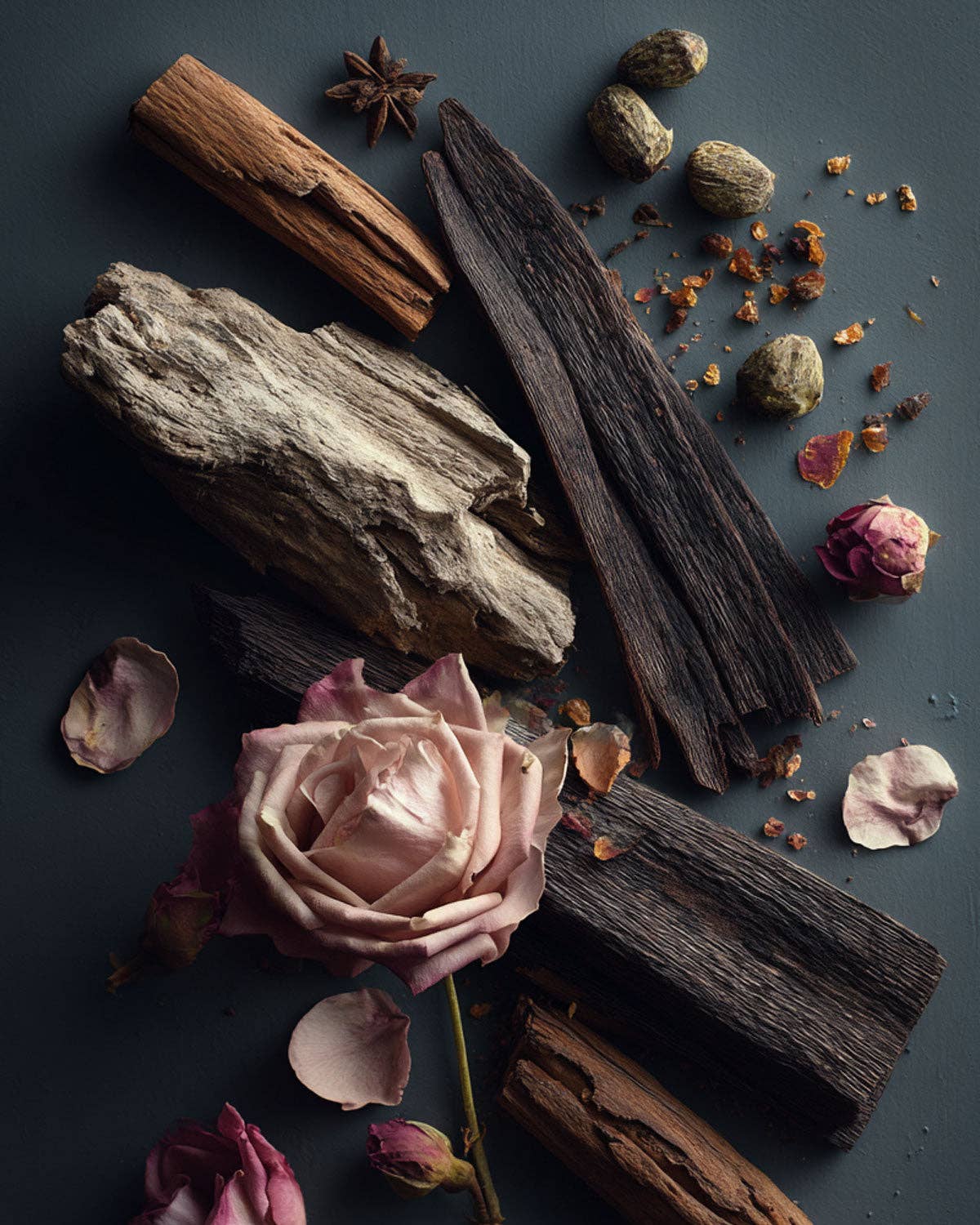 RAUMDUFT SANTAL NOIR